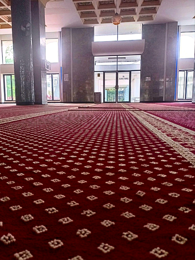 @Quran Reminder | تذكير القرآن
