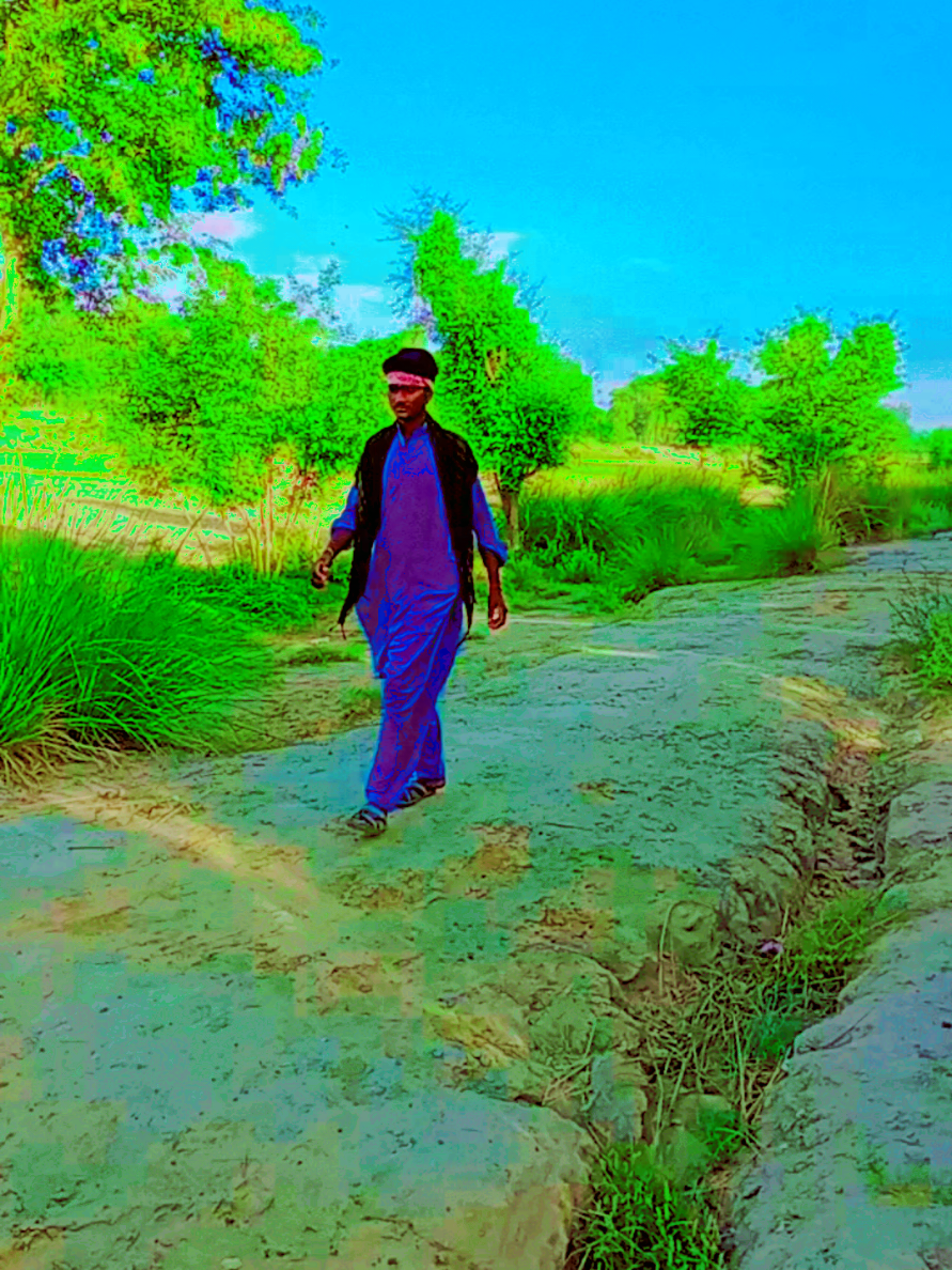 @Shameer Rathor