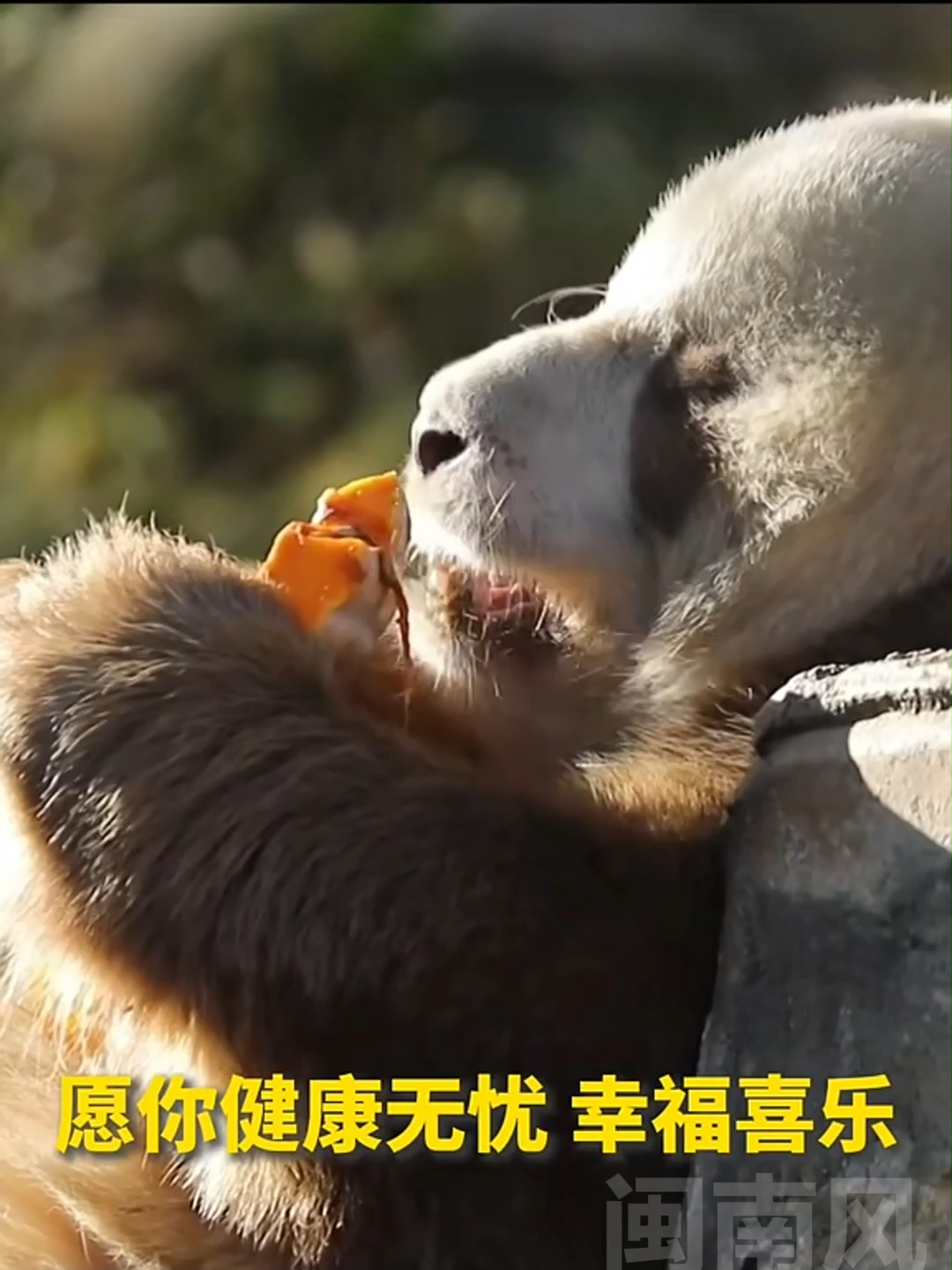 @闽南风～