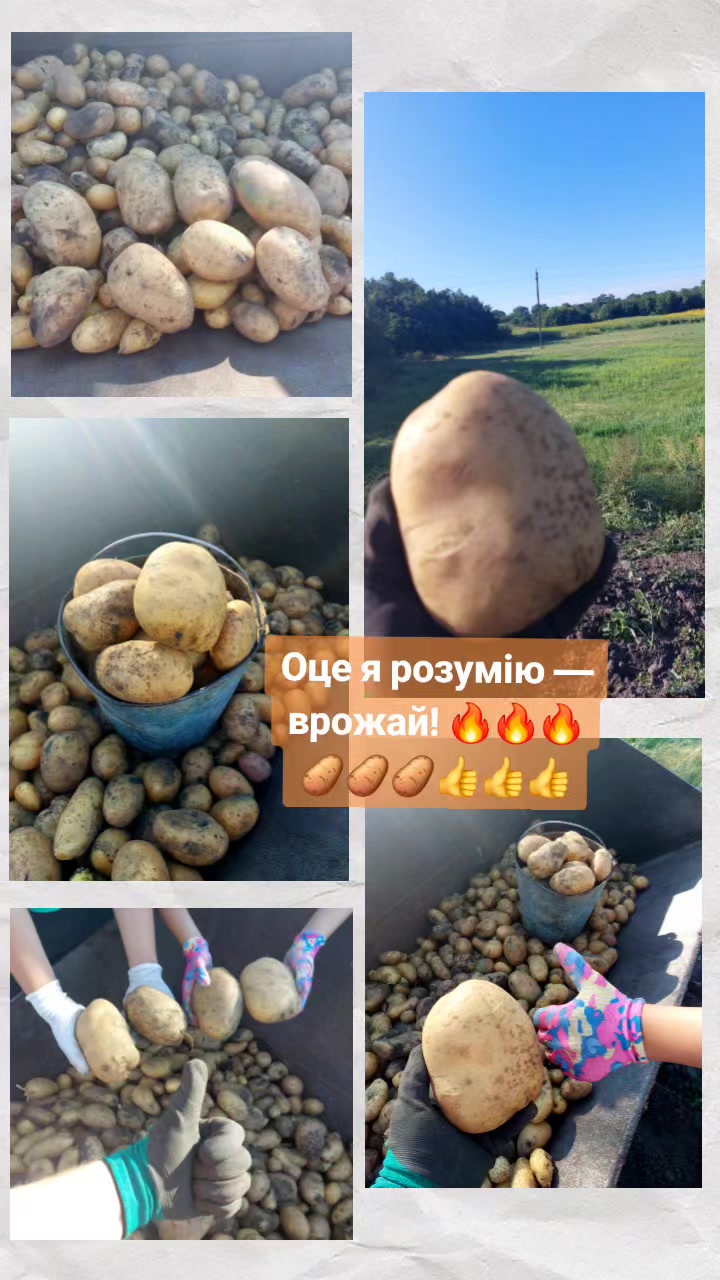 @Просто ... Оля