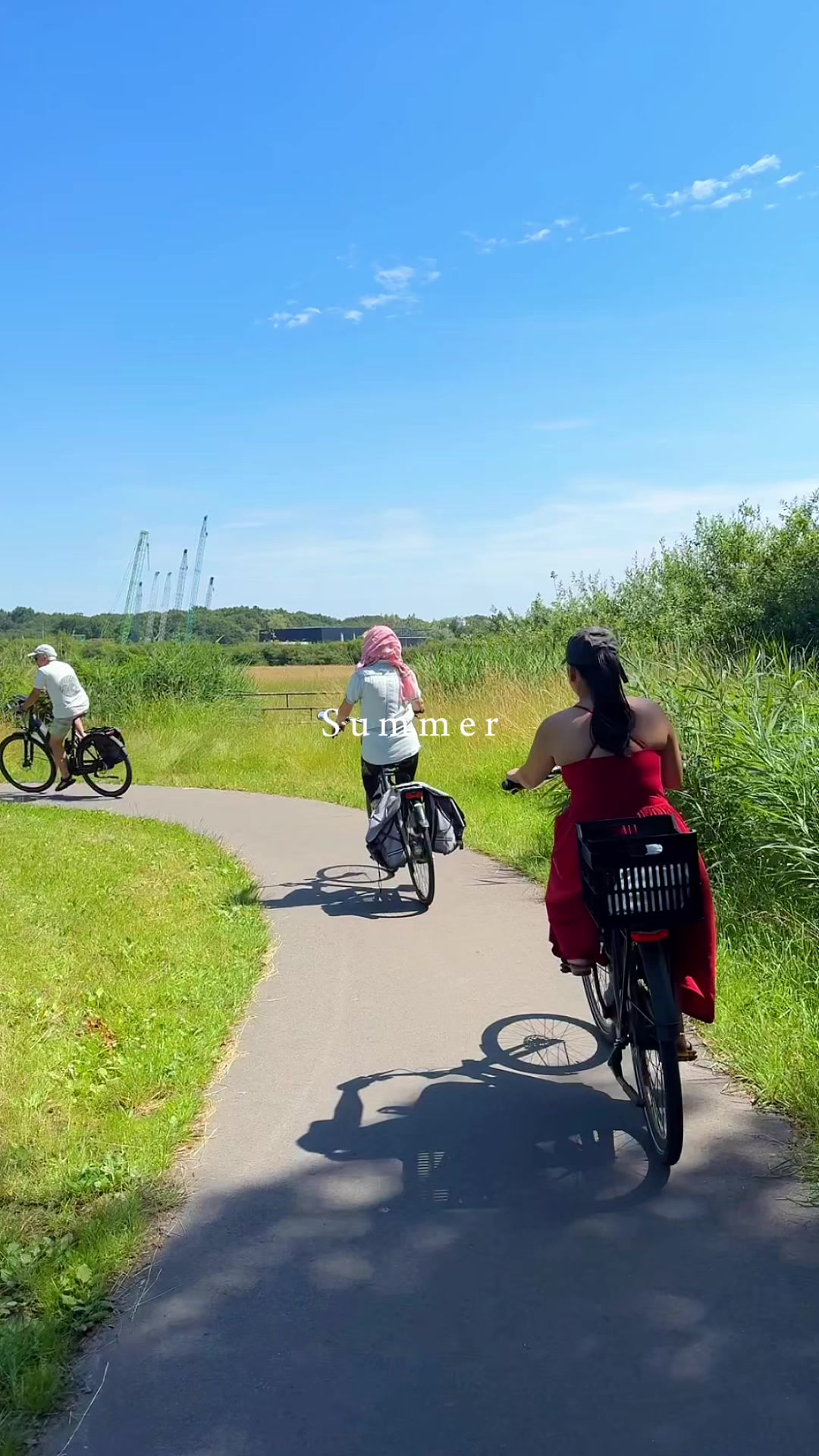 @belle in the Netherlands