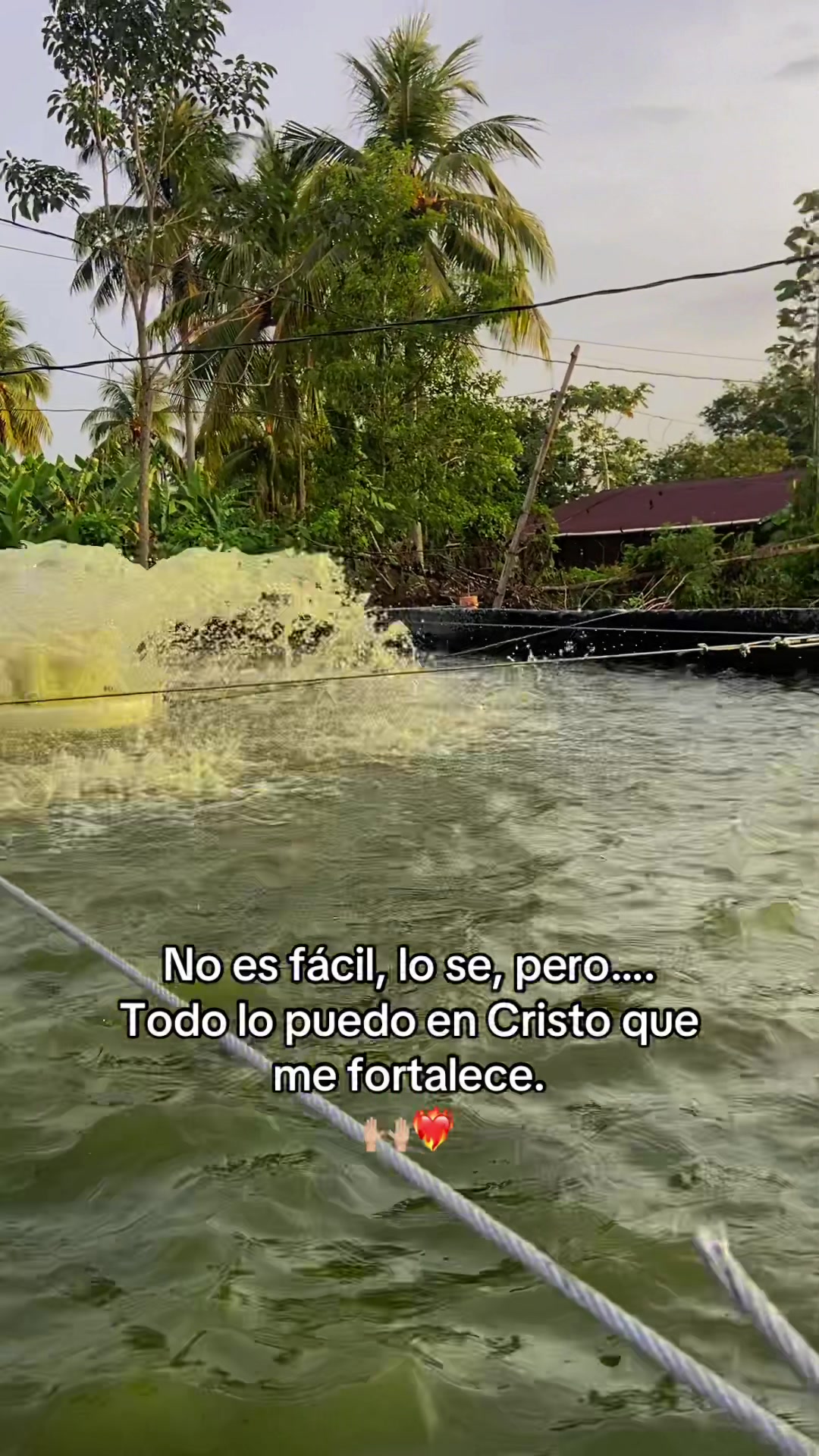 @Eliel