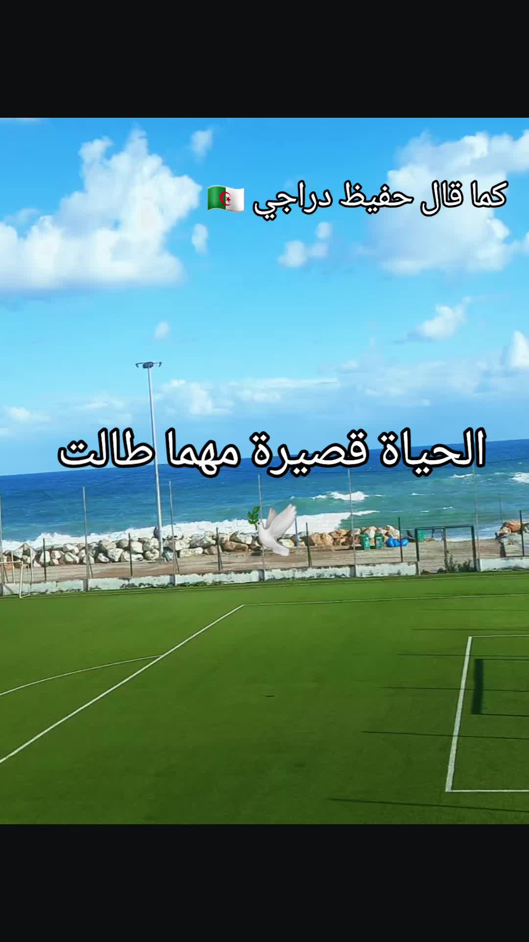 @شعور