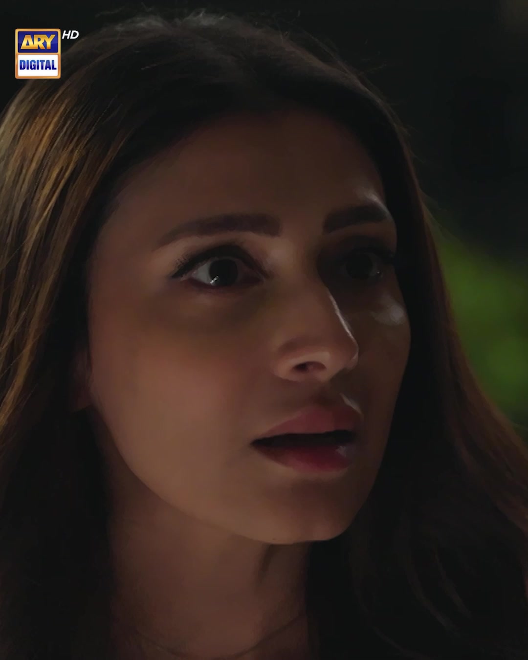 @ARY DIGITAL