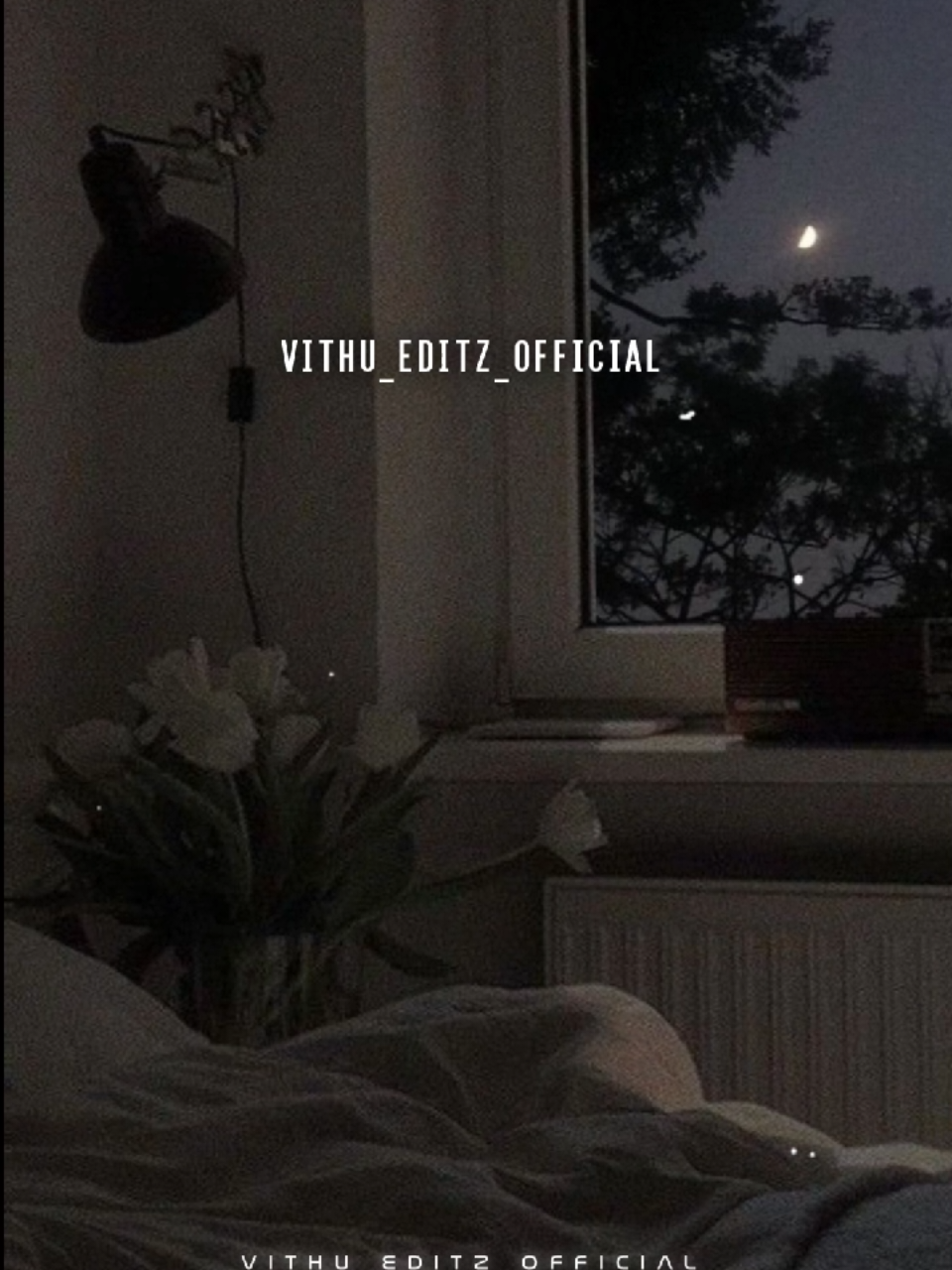 @♡𝐌𝐔𝐒𝐈𝐂ᯤ𝐔𝐍𝐈𝐕𝐄𝐑𝐒𝐄♡