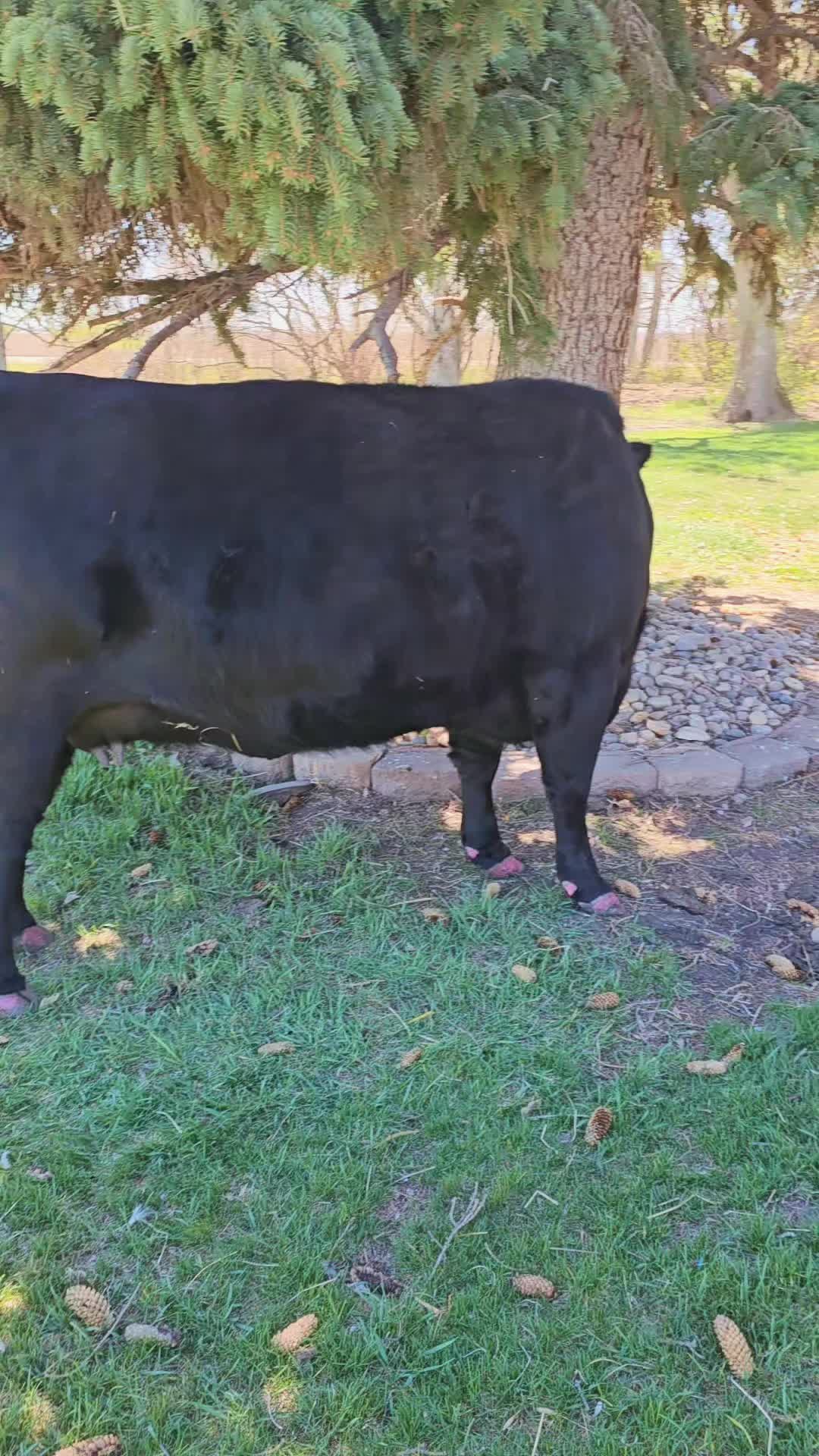 @Dakotafunnyfarm