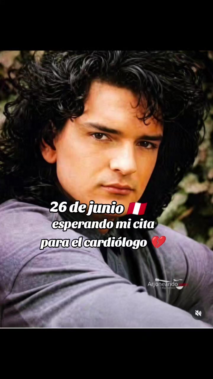 @gatita