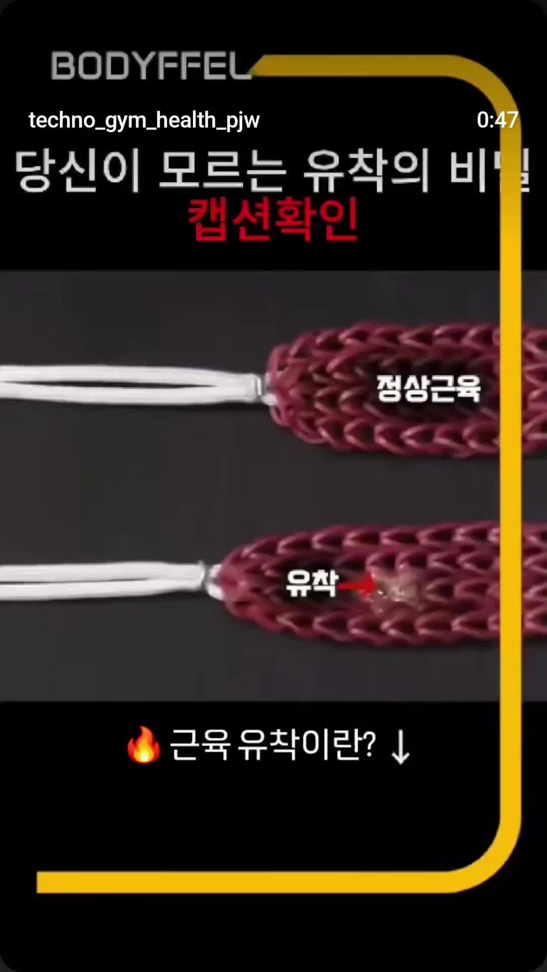 @테크노짐헬스클럽 대표 박장원 |인천 부평구 삼산동헬스장