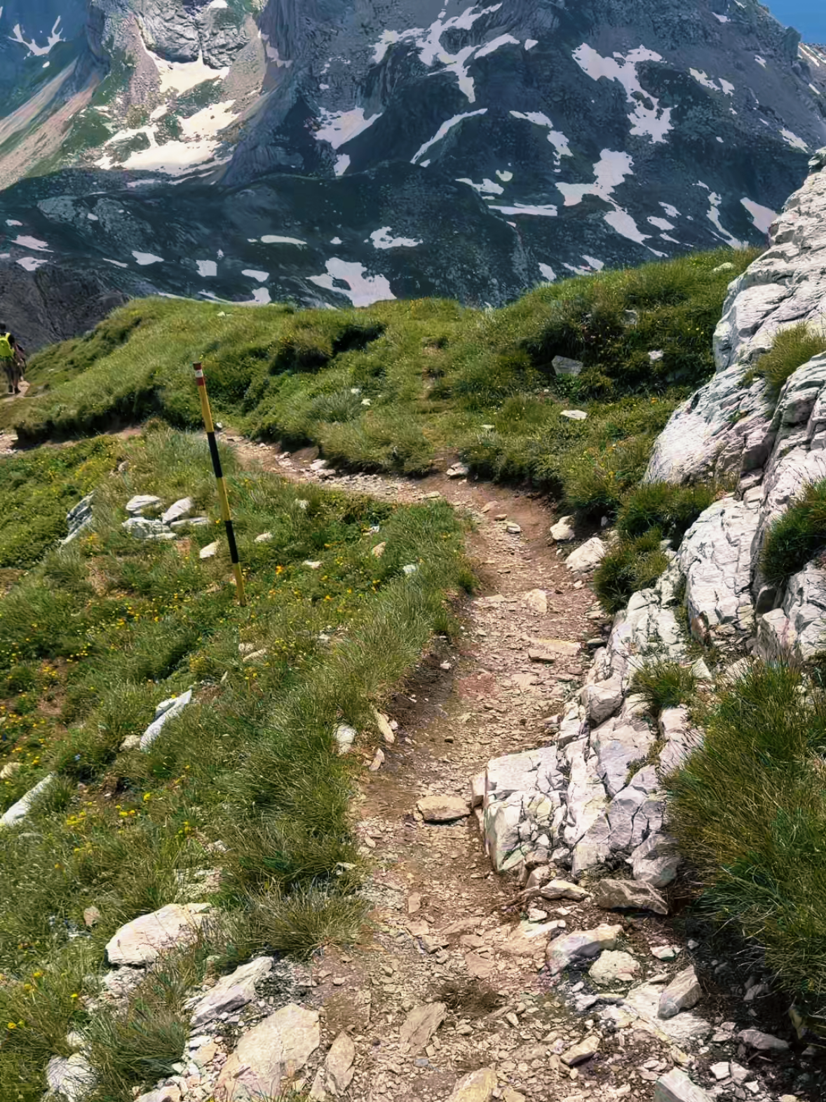 @DIBRA-REALE