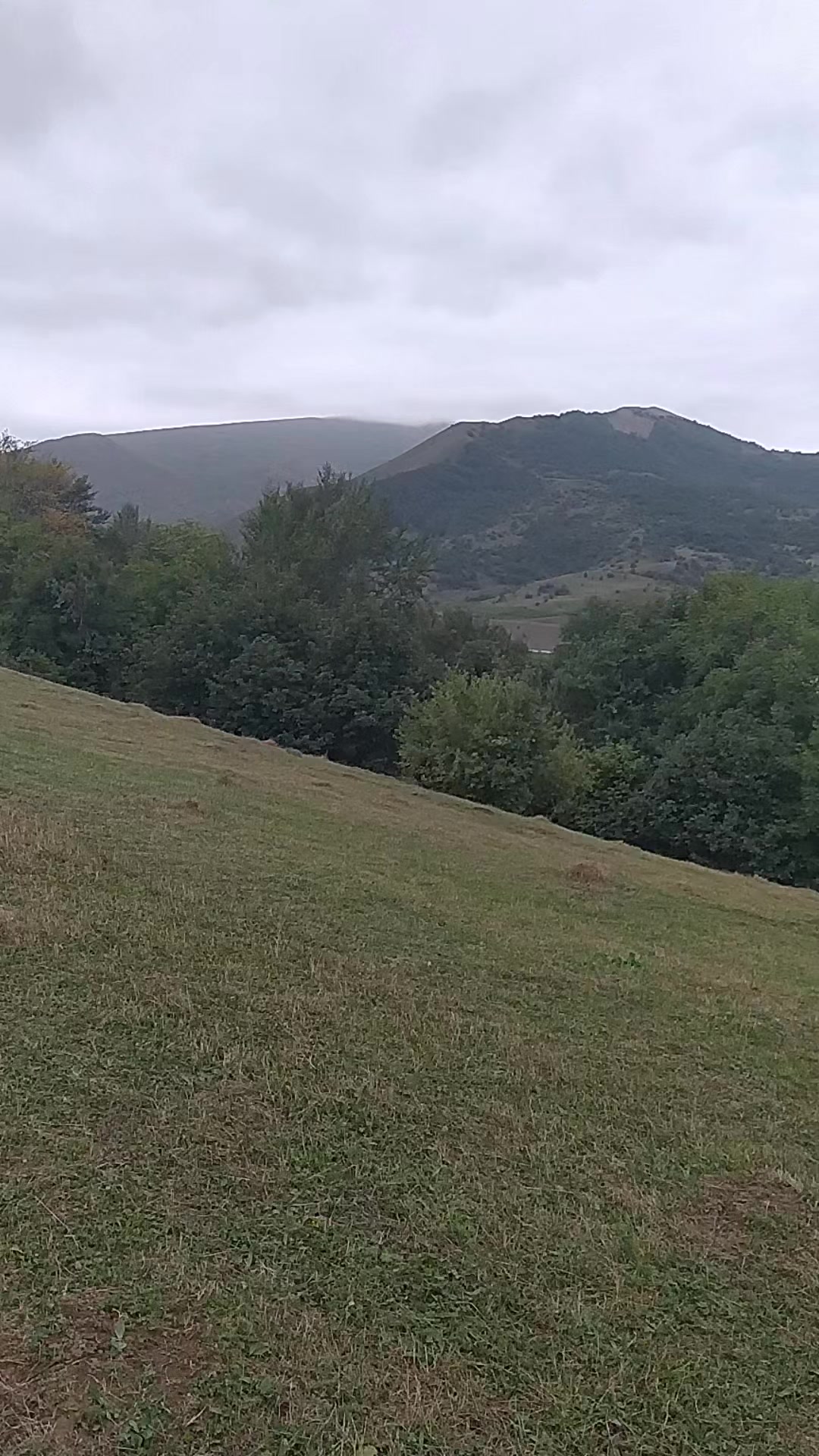 @qedir_94