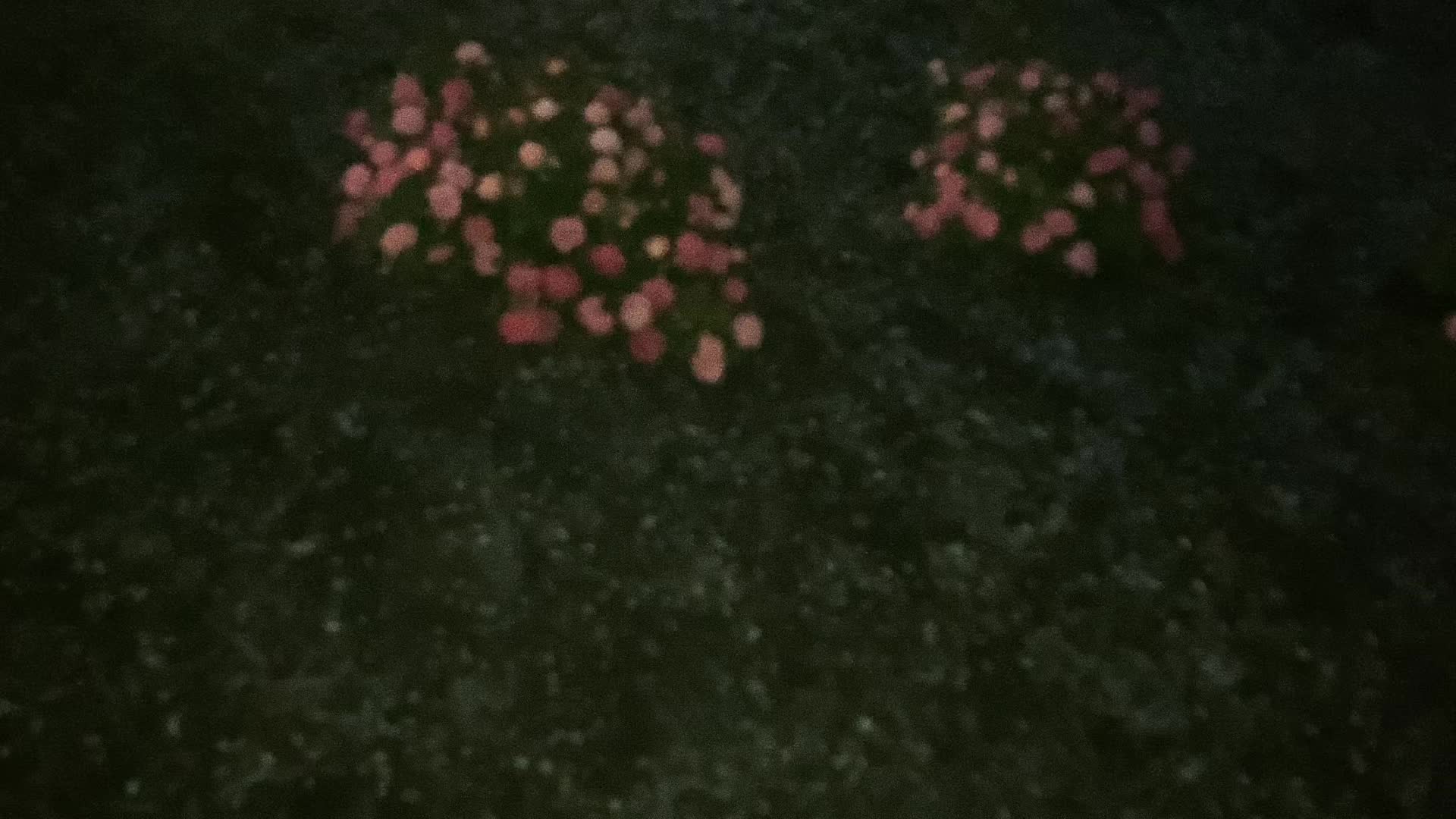 @Ťęřęňçę