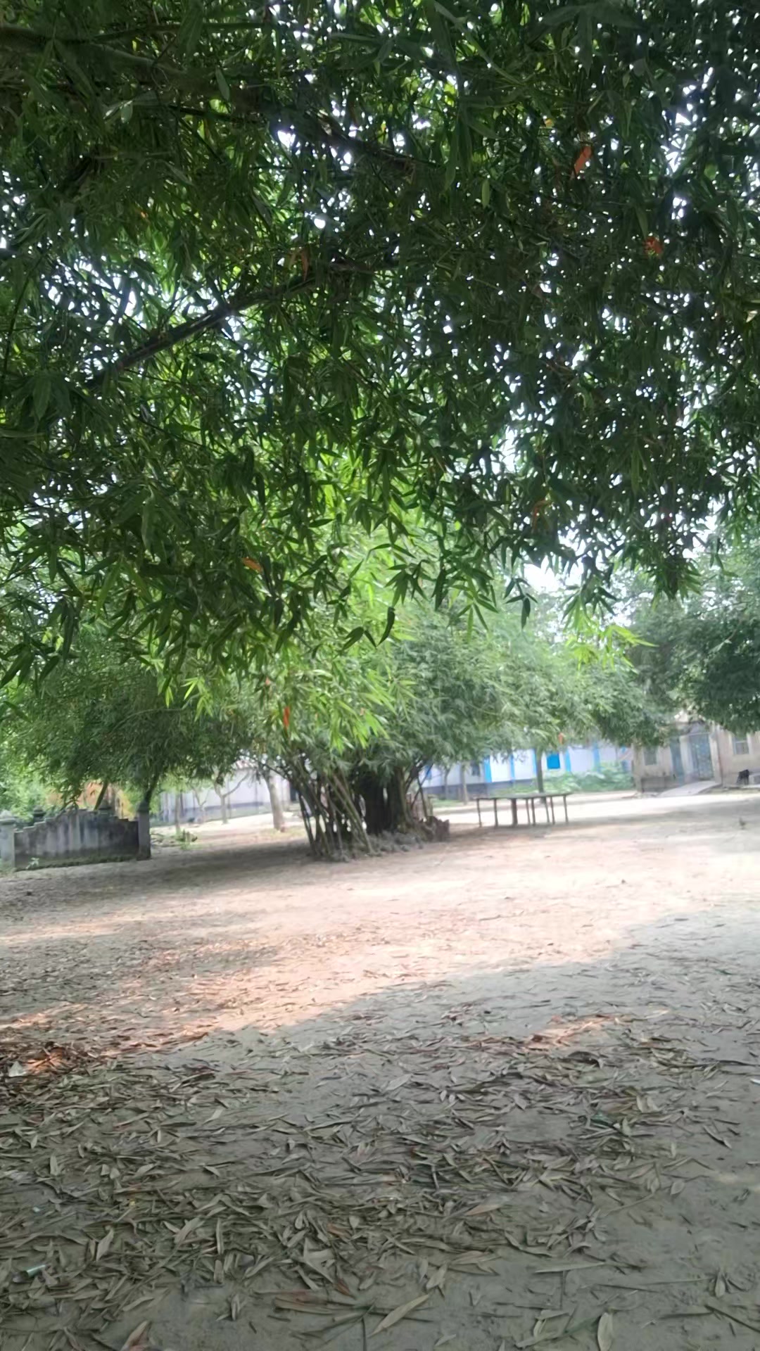 @Rajjak999