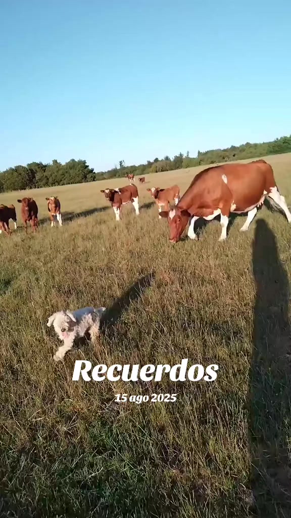 @martamillan772