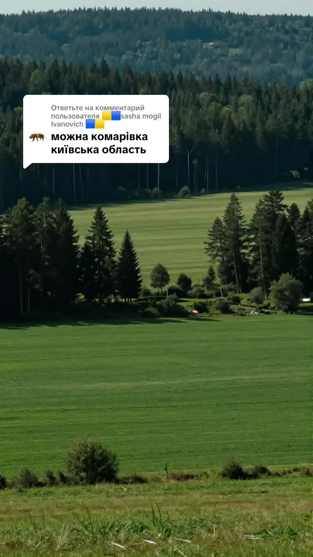 @PavelGorn✅