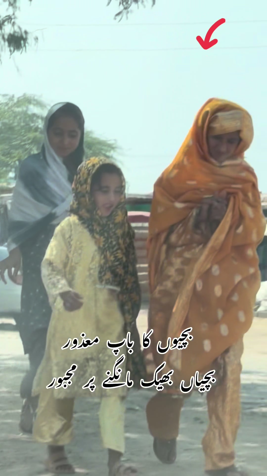 @Zahid Kashmir wal foundation