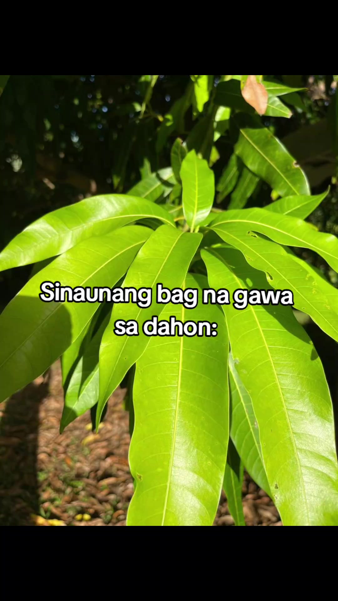 @Memes moo!!