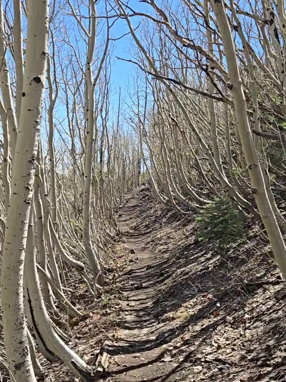 @Alex Martin | HikingAstronomer