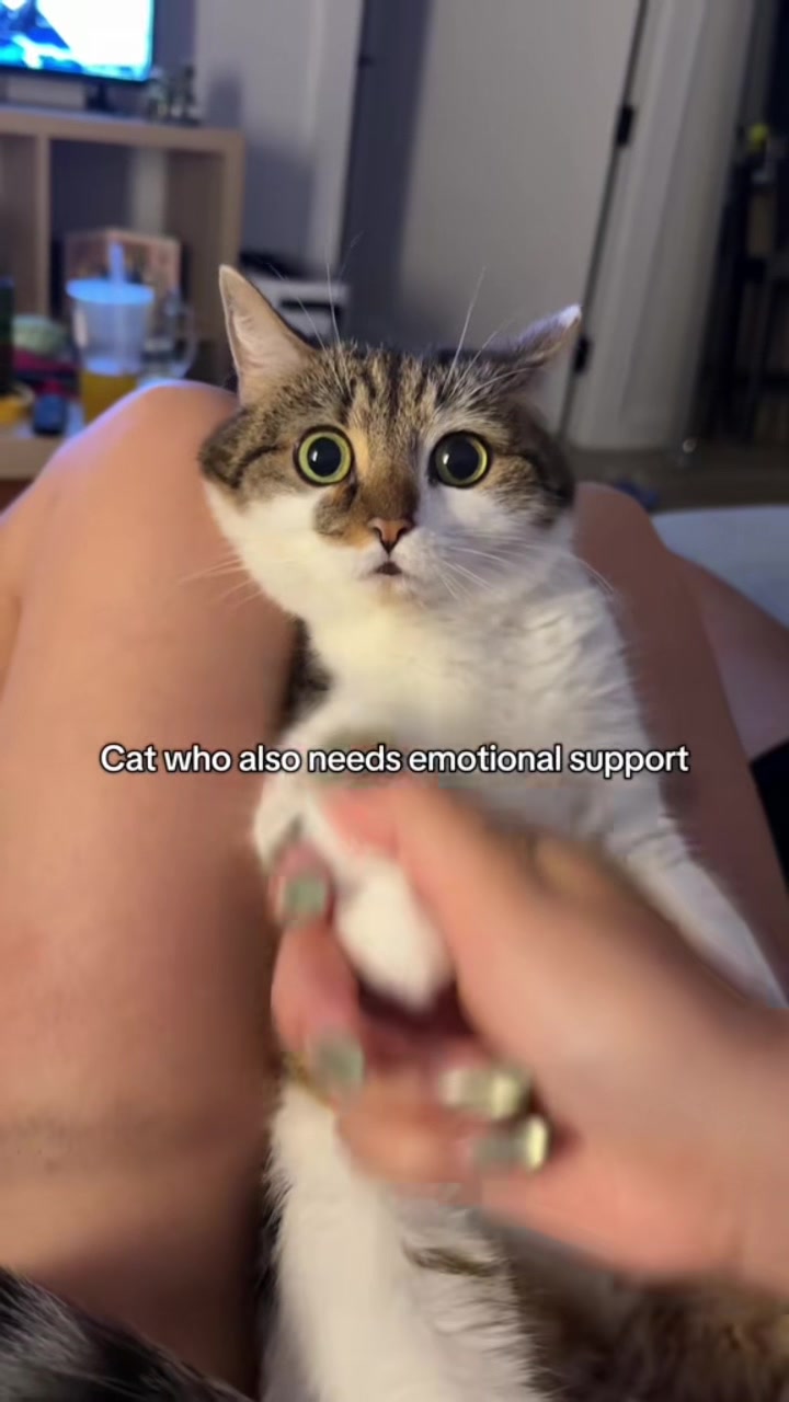 @Suki Purrs