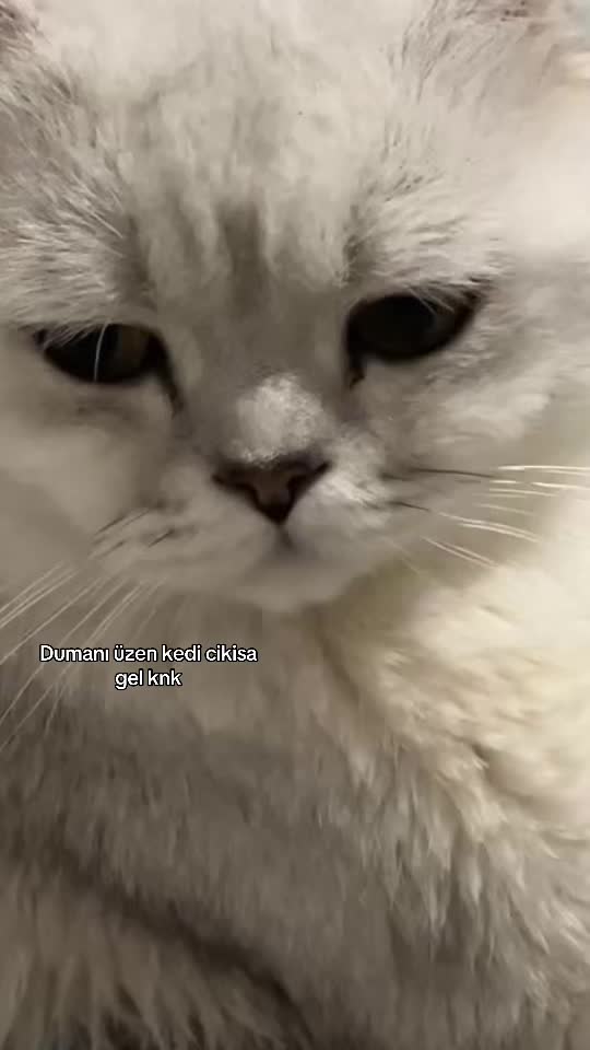 @💆🏻♀️