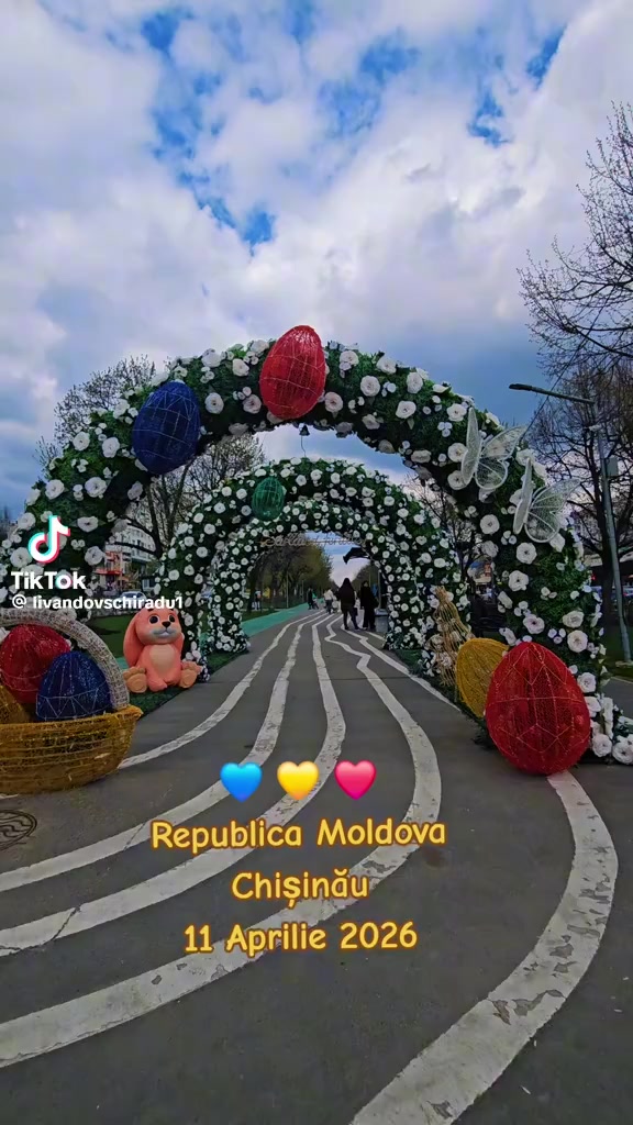 @Anișoara Viziru