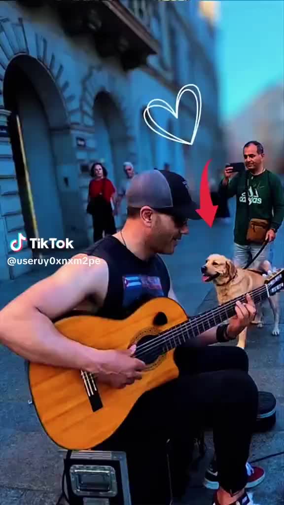 @Alex cavazza tenacia gitano