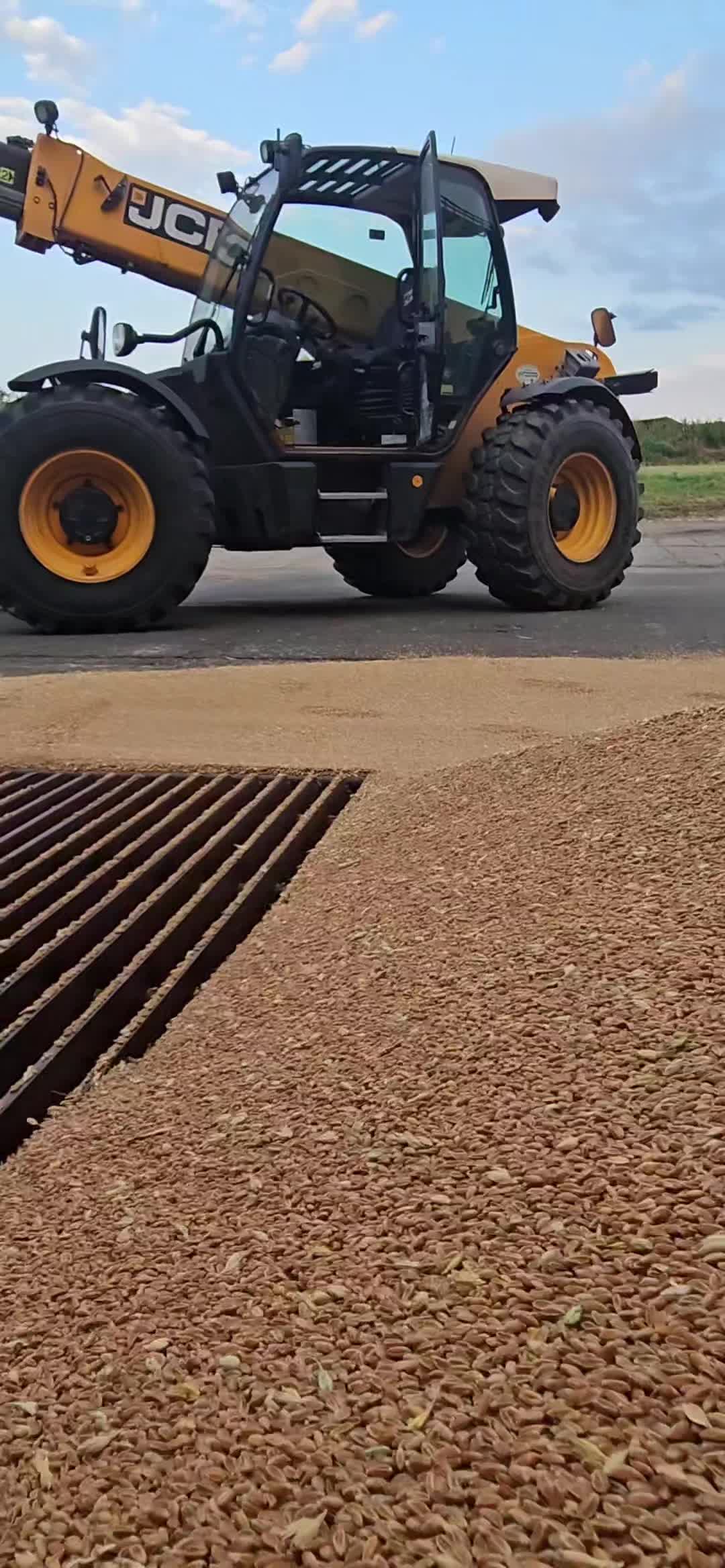 @🌾 𝔻𝕚𝕔𝕜𝕖𝕣 🌾