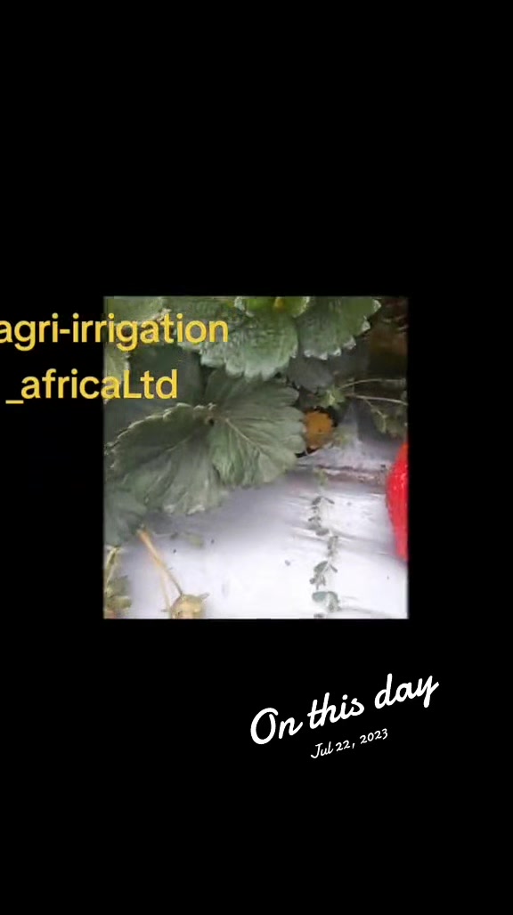 @Agri-Irrigation Africa Limited