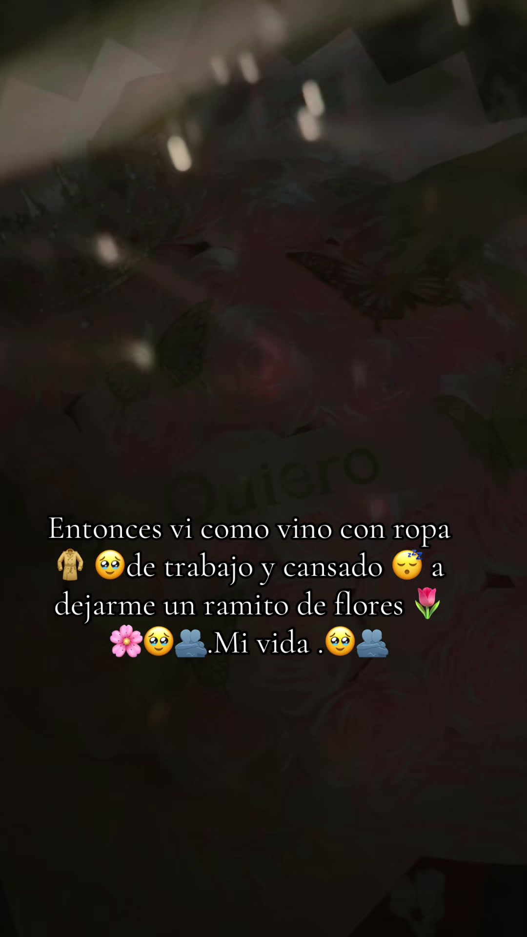 @🩷☘️zamorithta🥰🫶