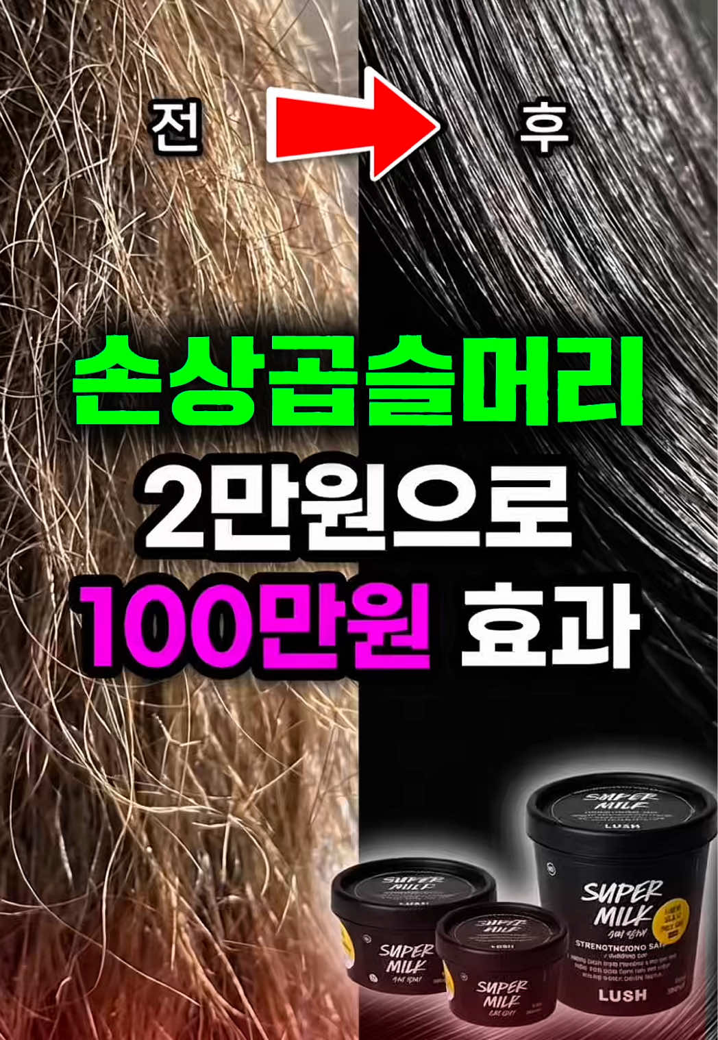 @지나스 GINAS
