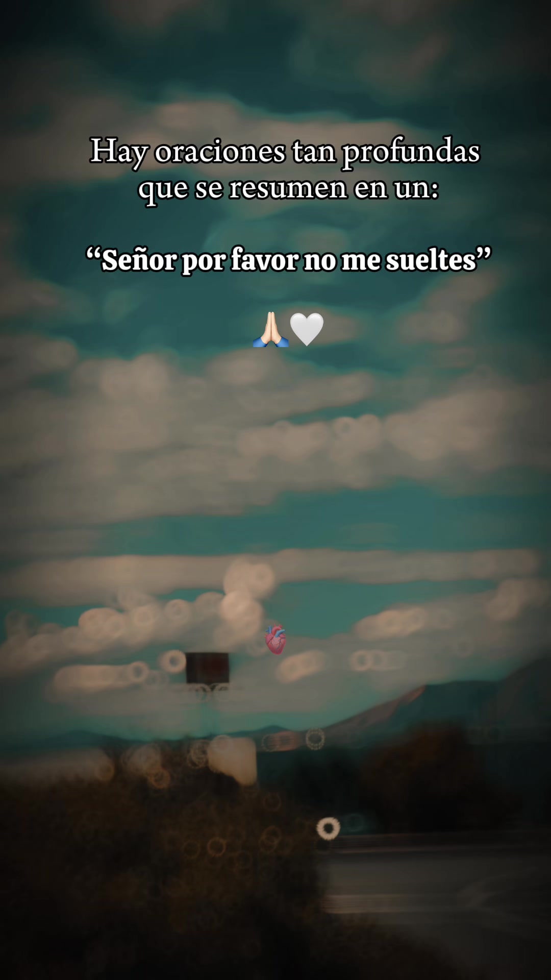 @✨Azucena Montt✨