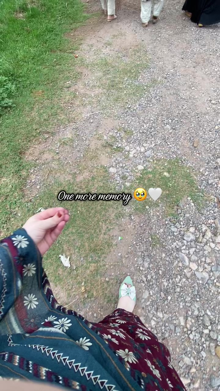 @beera_blogs
