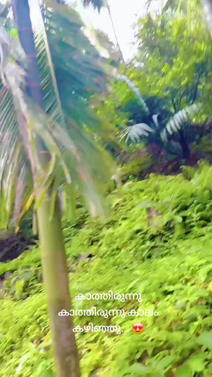 @♥️🤍🕊️ഫാത്തി🕊️🤍♥️