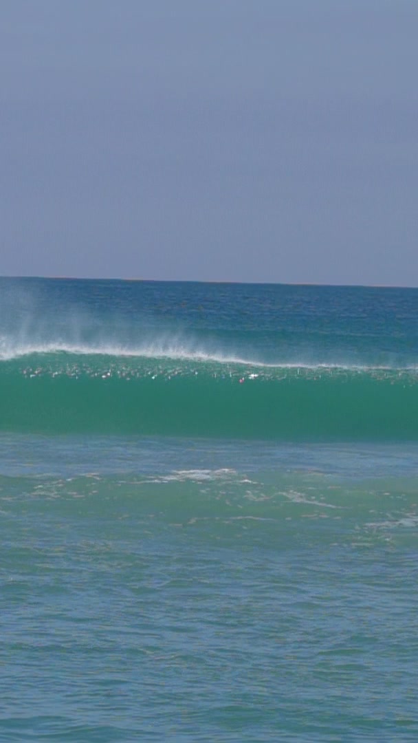 @AtlanticSurfLife