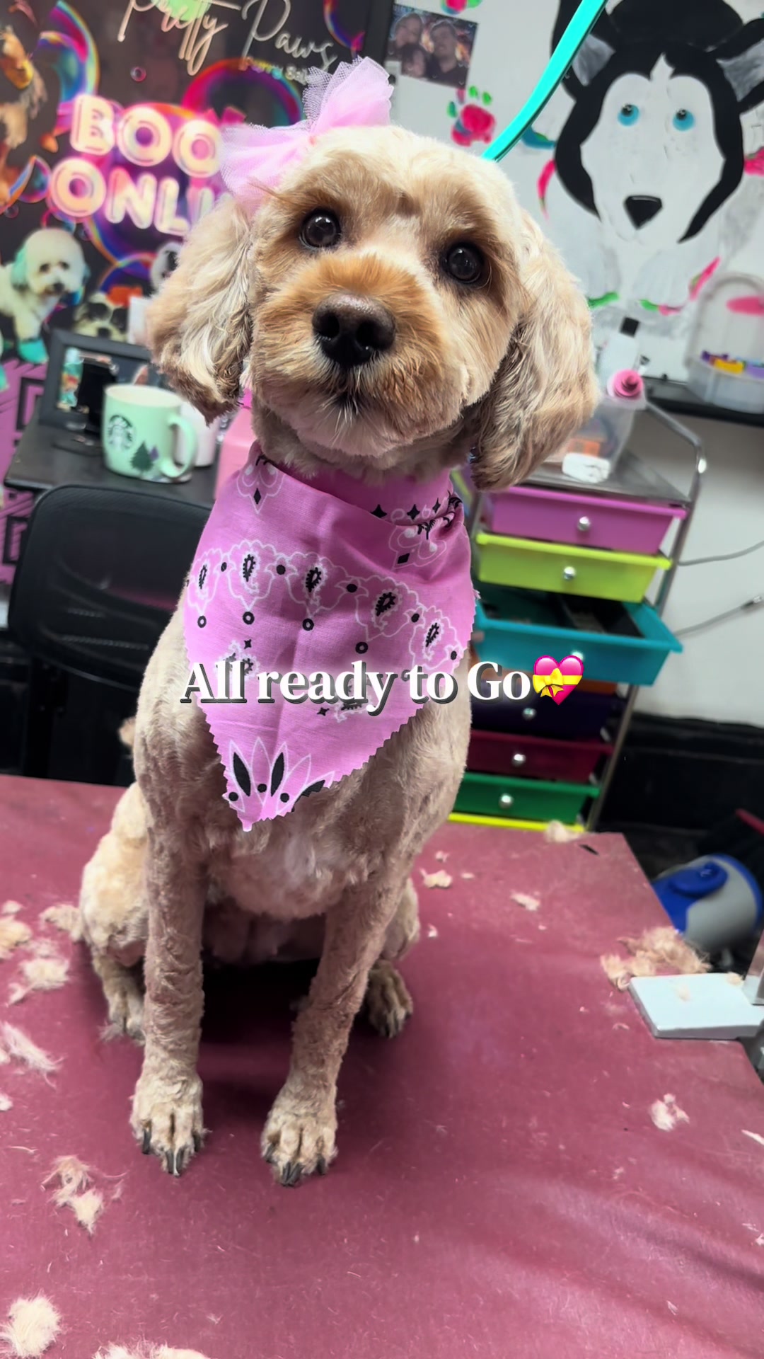 @PRETTY PAWS FURRY SALON🐾💜