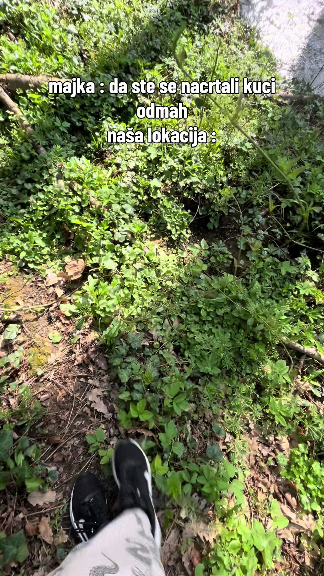 @Сара Ђокић