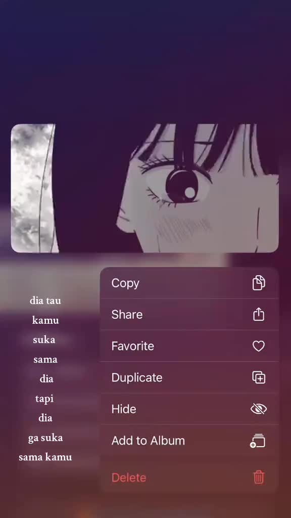 @user281999178