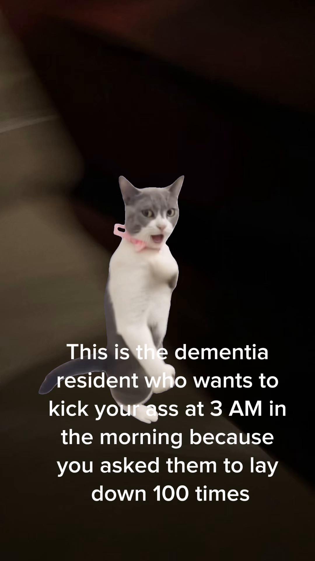 @𝑲𝒂𝒓𝒂𝒎𝒆𝒍𝑷𝒓𝒊𝒏𝒄𝒆𝒔𝒔