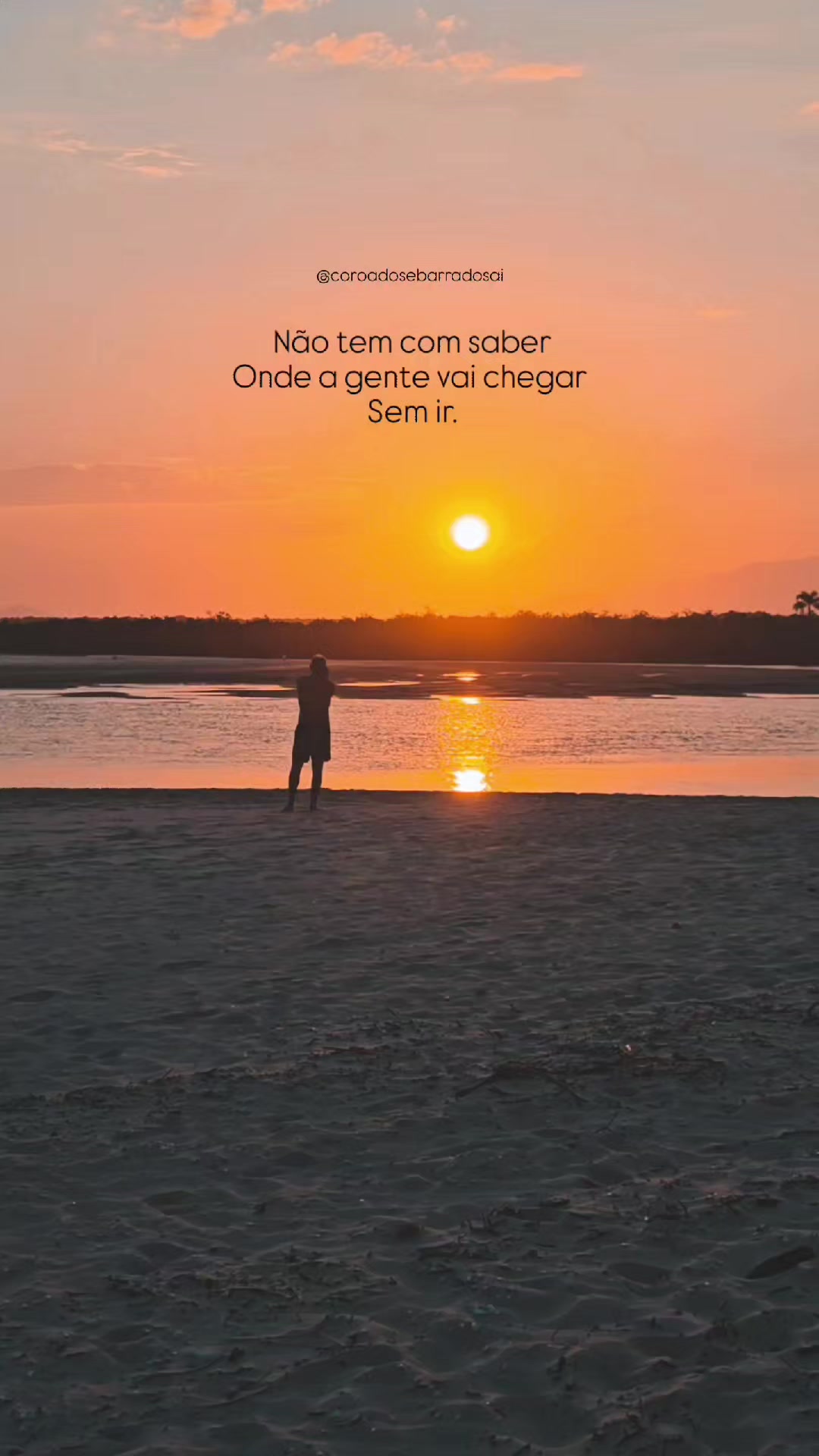 @coroadosebarradosai