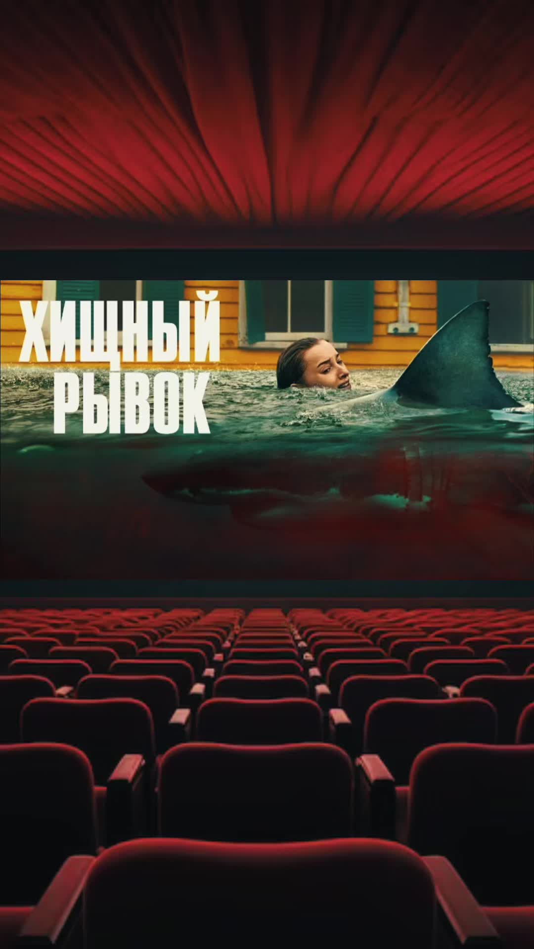 @kino_com