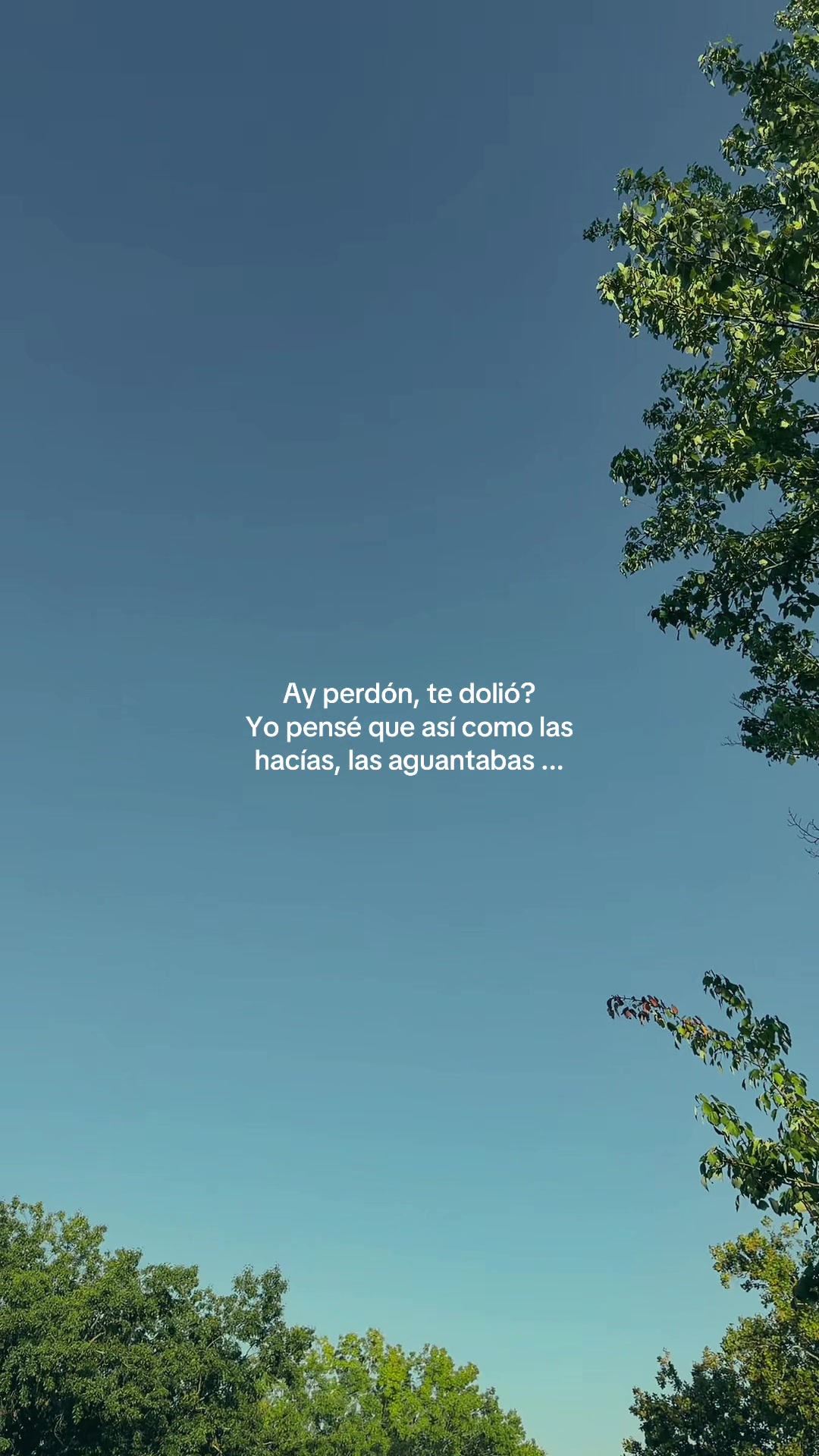 @&ldquo;Voces del Eco&rdquo;