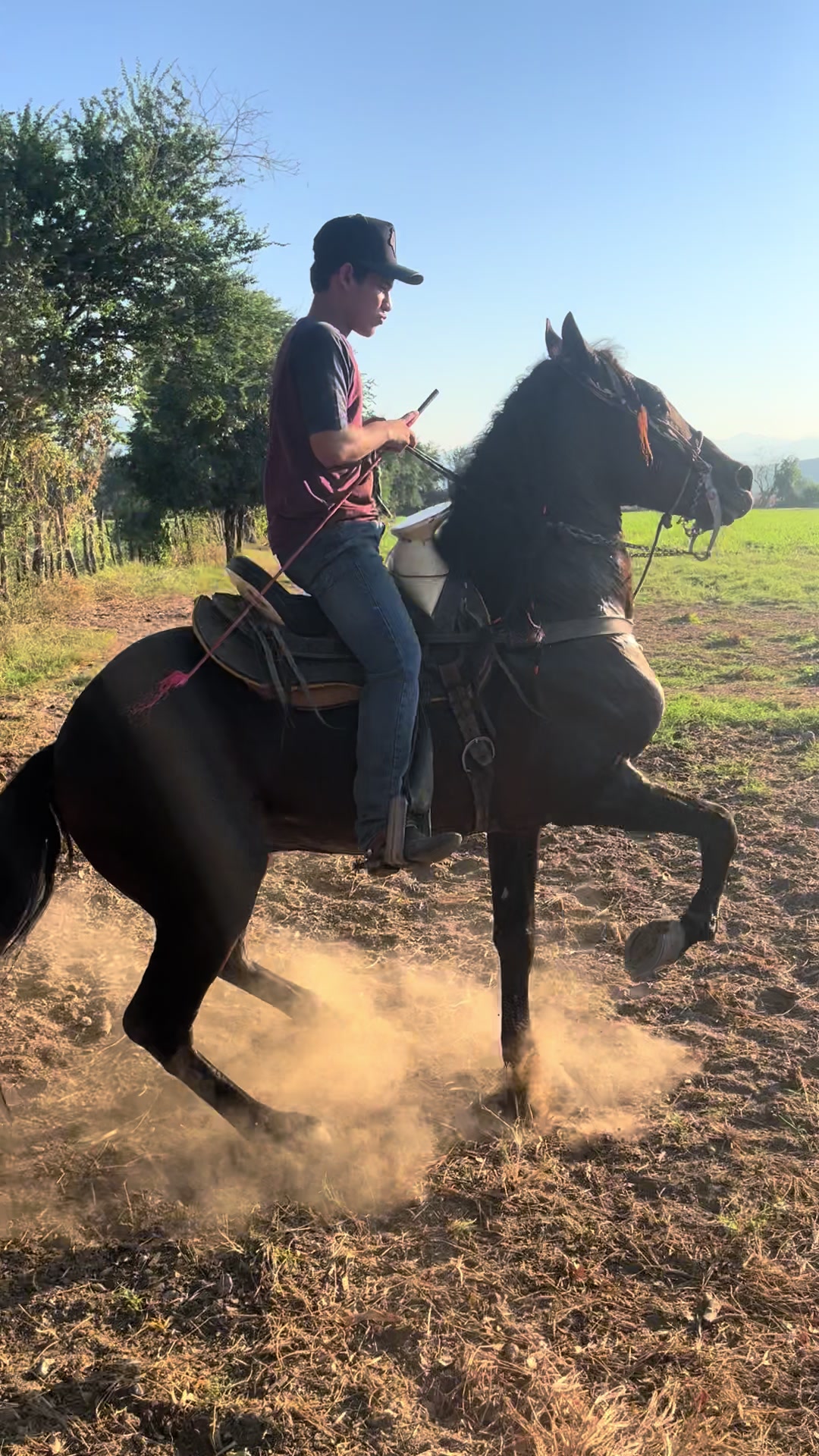 @K.borja🐴