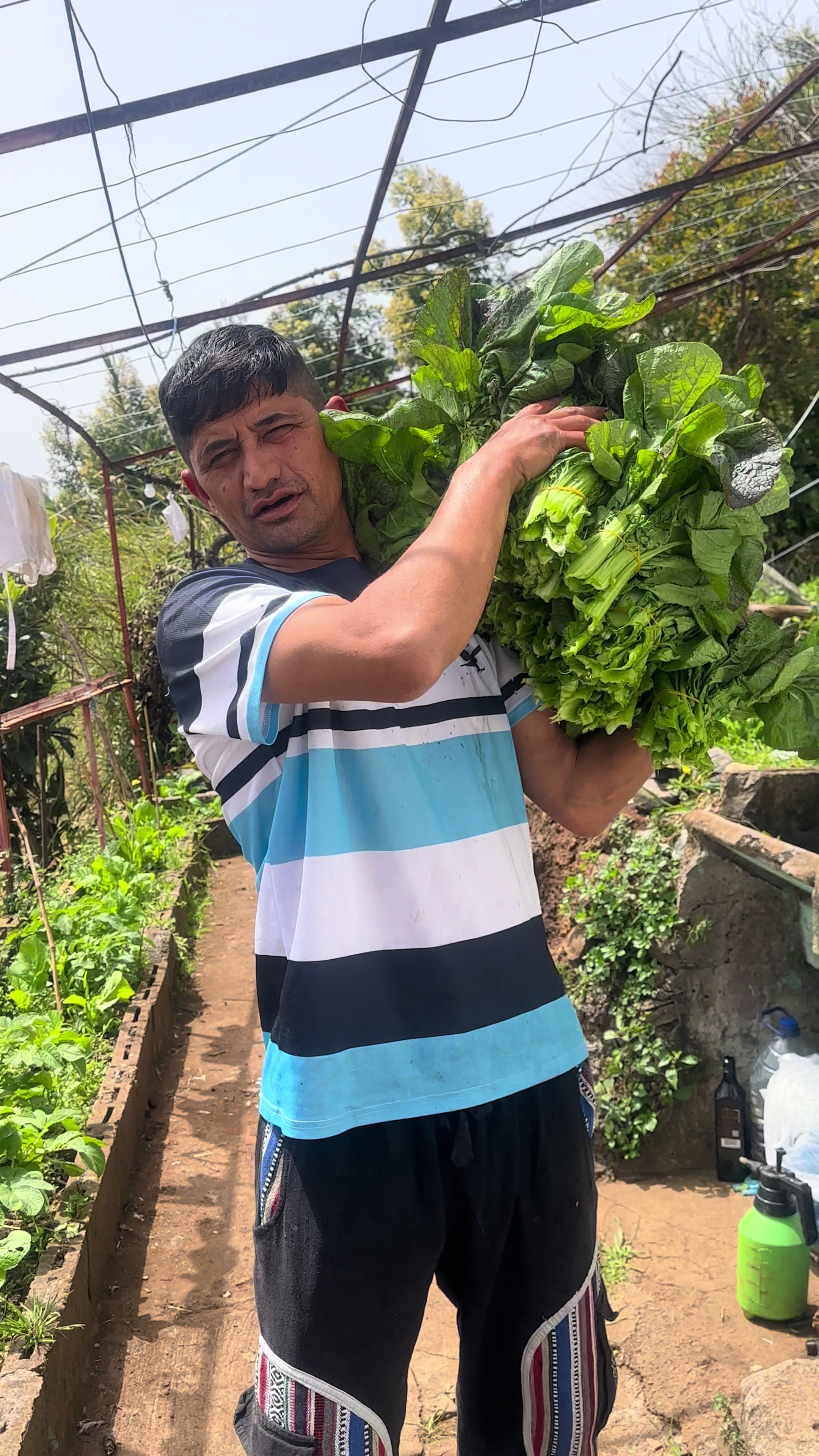 @Hari chhetri 1/3 GR 🇳🇵🇵🇹