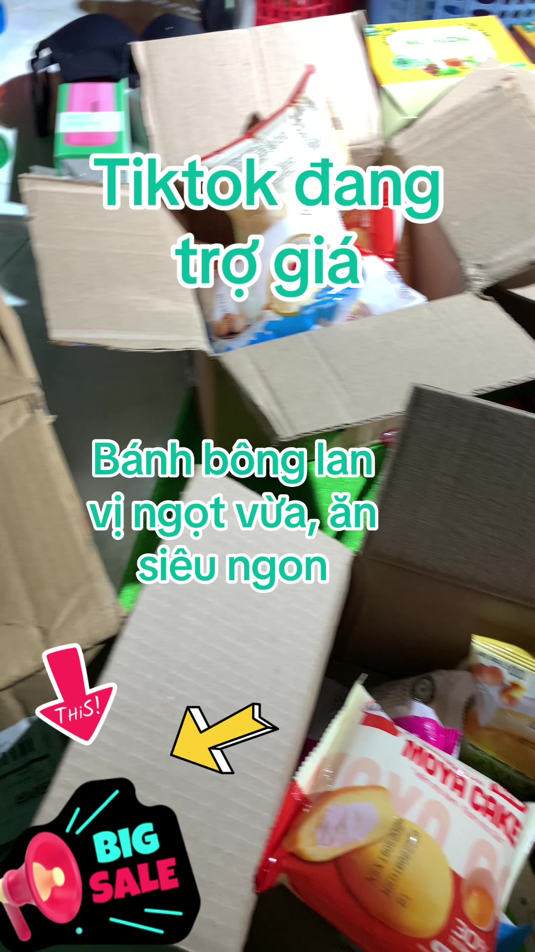 @An An 78