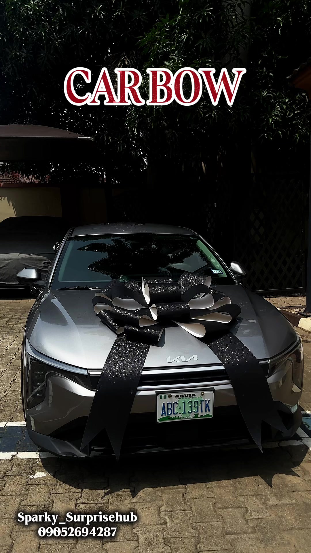 @Sparky Abuja Surprise planner