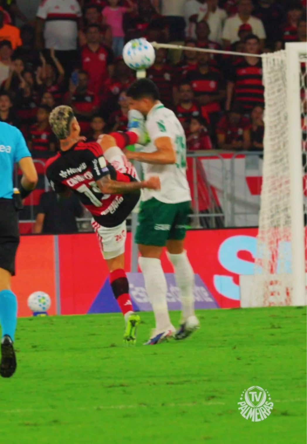 @SE Palmeiras