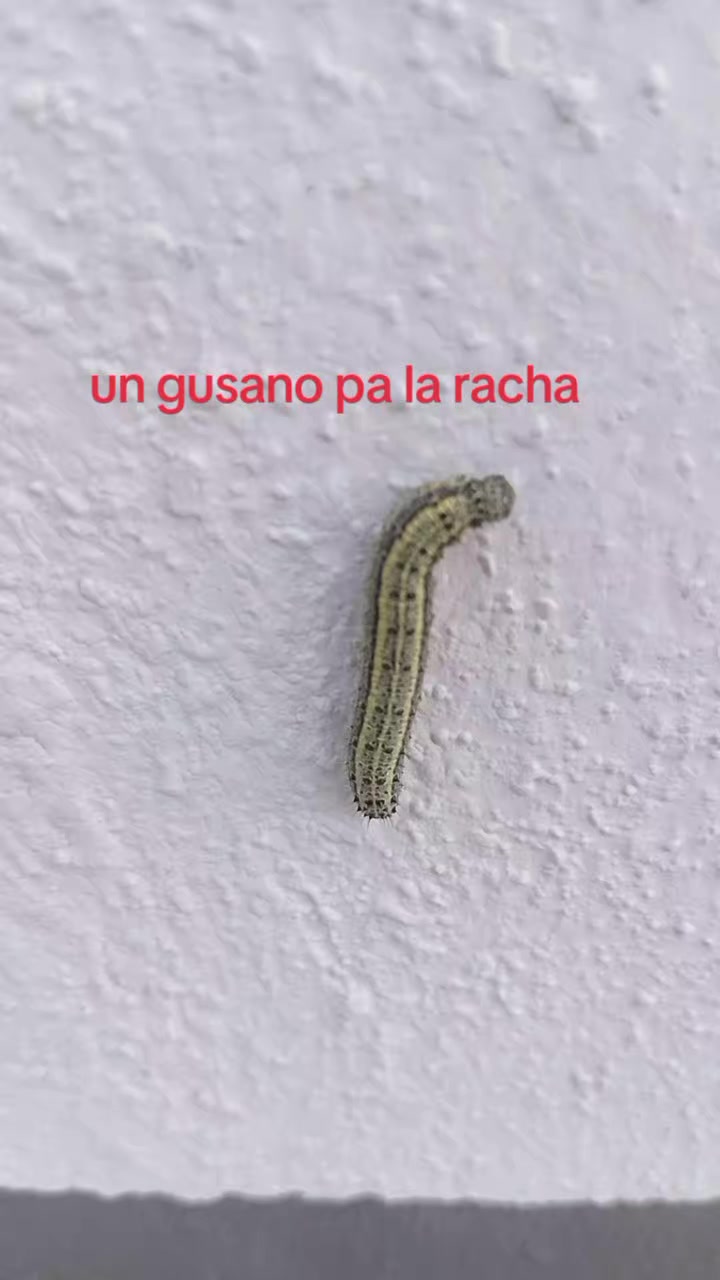 @N