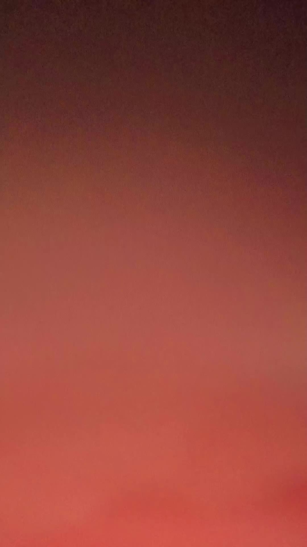 @Honeko💀🇩🇿(骨子)