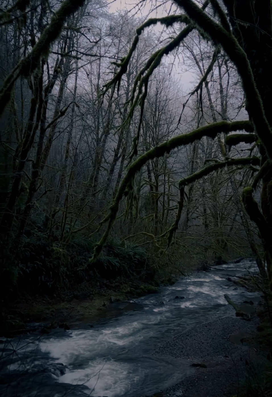 @Jeremiah Beresford 📸