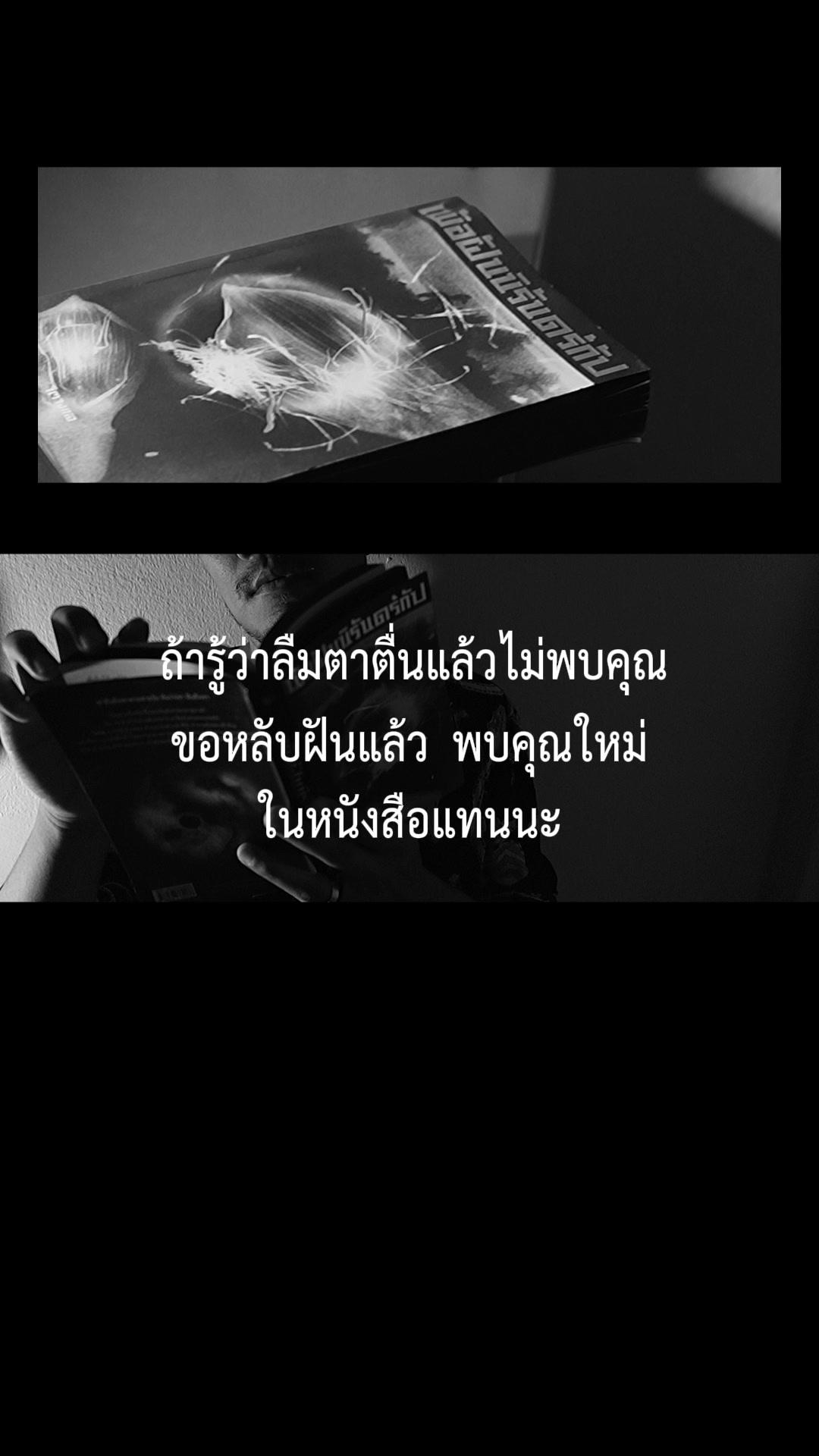 @Somewherebookshop&homecafe