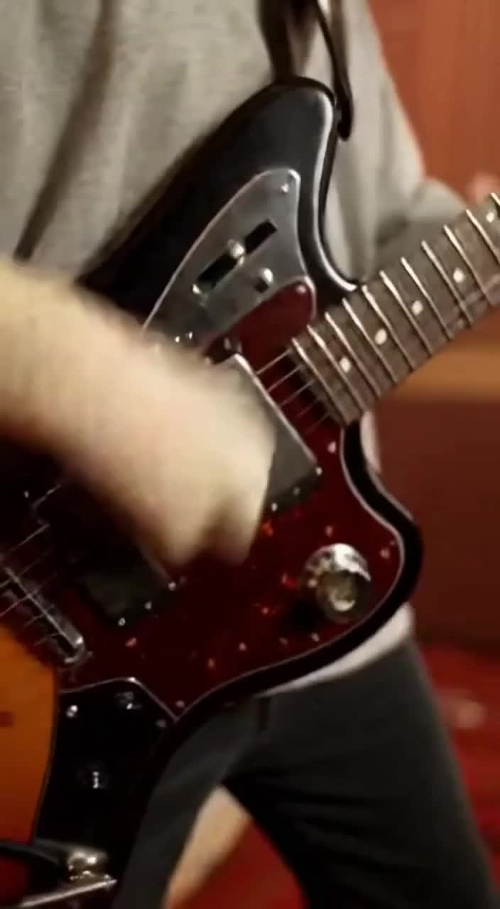 @Nirvana Cats